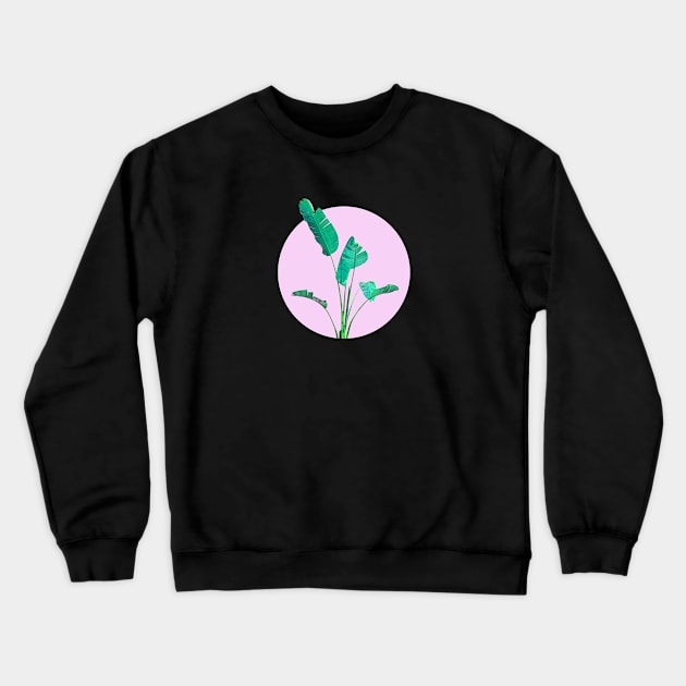 Banana Palm Tree Crewneck Sweatshirt by Vin Zzep